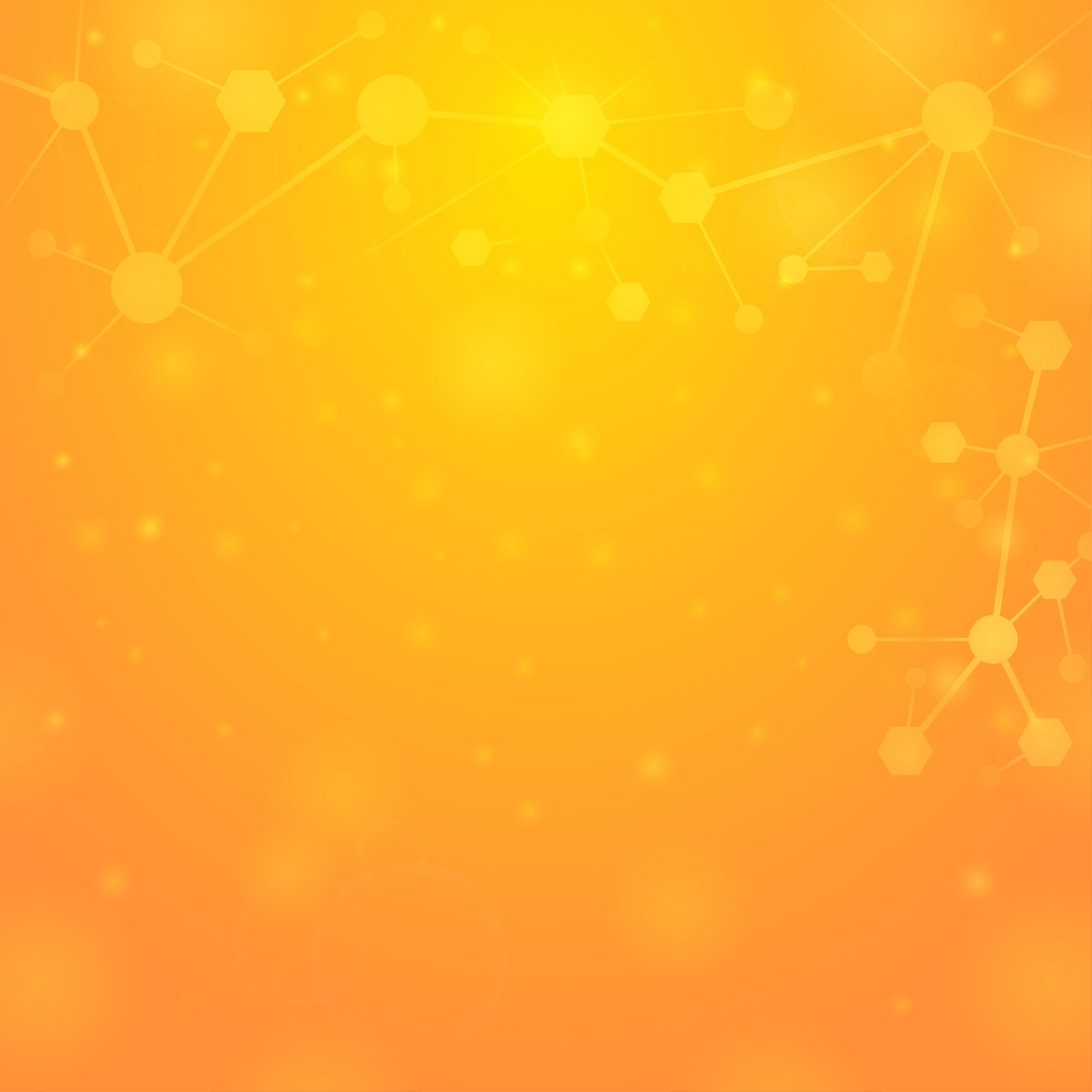 project header